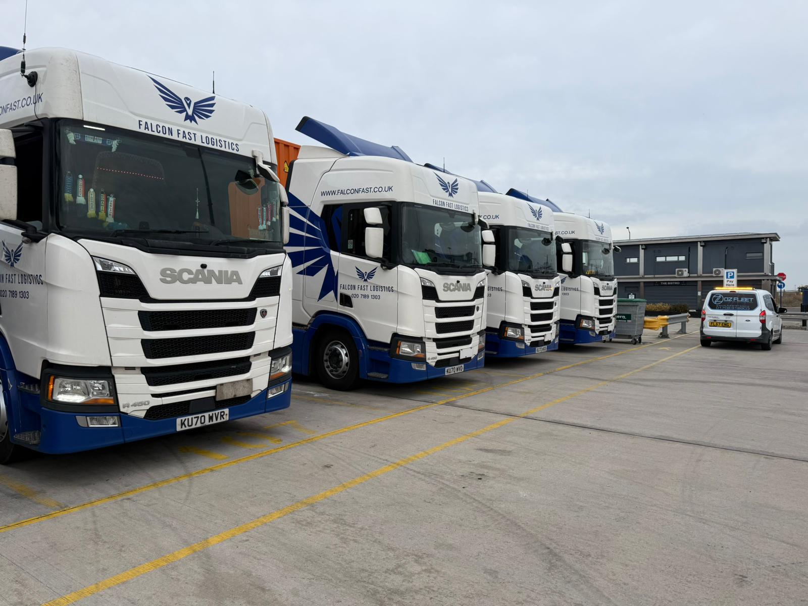 Row of Falcon Fast Logistics Scanias at the depot